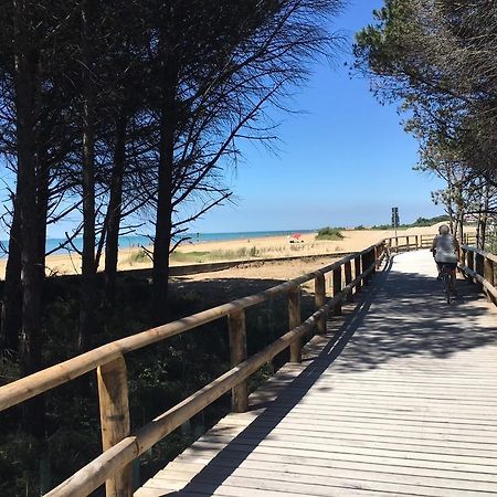 Appartamenti Narcisi Bibione Exteriér fotografie
